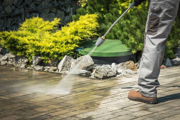 Best Winterizing Services  in Moore, OK